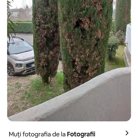 Di Fronte Al *