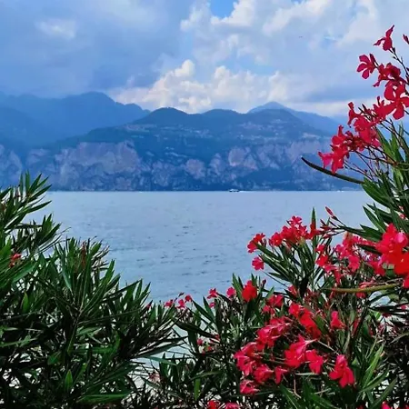 Apartment Di Fronte Al Peschiera del Garda